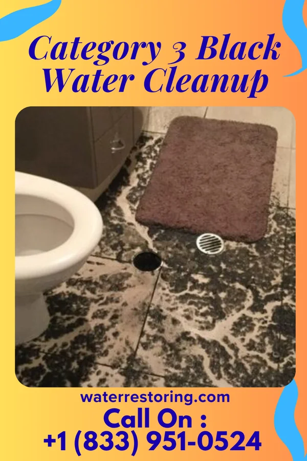 Category 3 Black Water Cleanup in Little River-Academy, TX