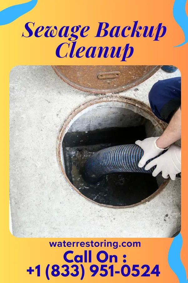 Sewage Backup Cleanup in Little River-Academy, TX