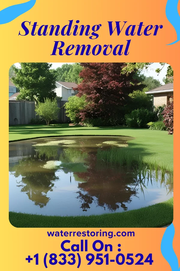 Standing Water Removal in Little River-Academy, TX